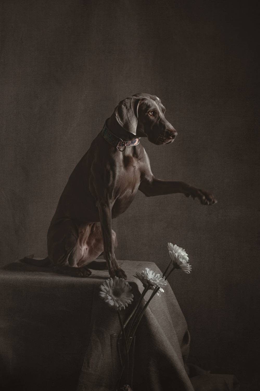 , Ященко Анастасия