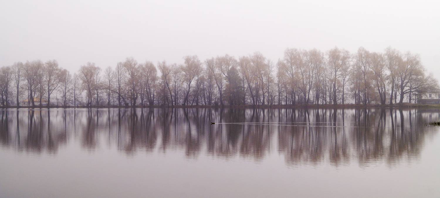 , Сушкевич Светлана