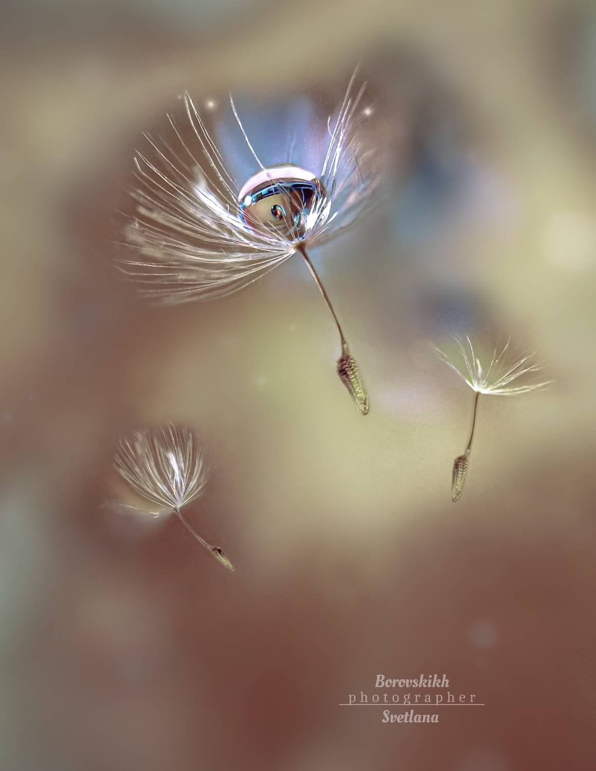 макро,  макро на телефон, macro, macro lens, капля, пушинки,, Светлана Боровских