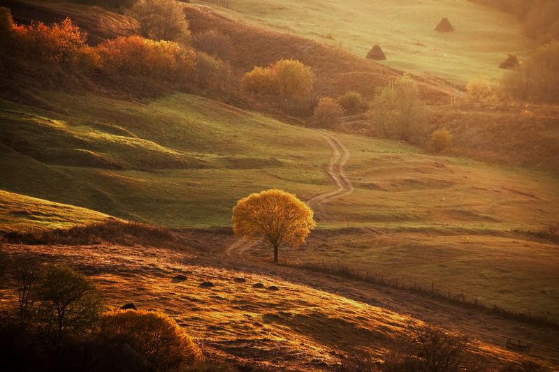 Осеннее настроение фото превью