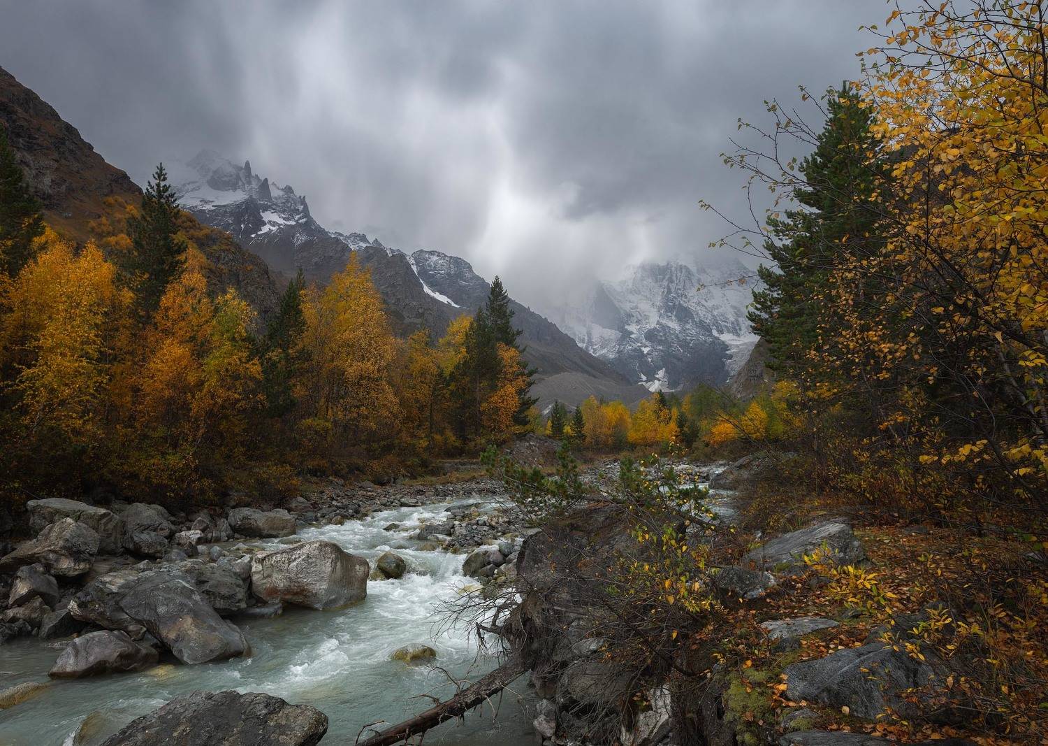 , Шевченко Юрий