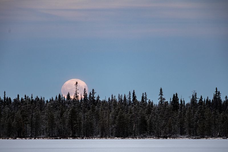 В погоне за луной фото превью