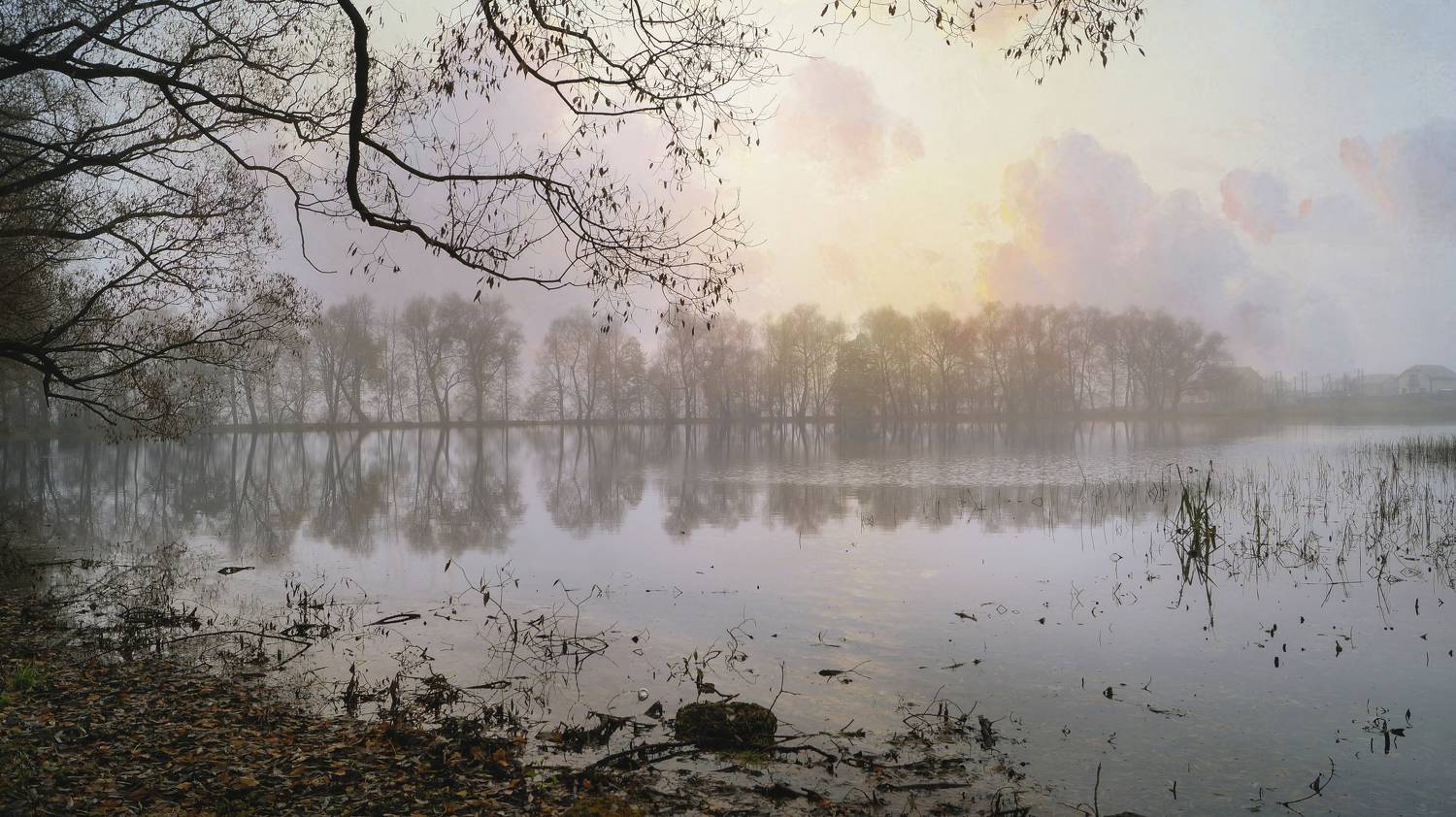 , Сушкевич Светлана