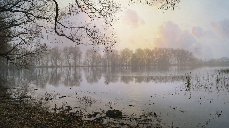 Сиреневый туман фото превью