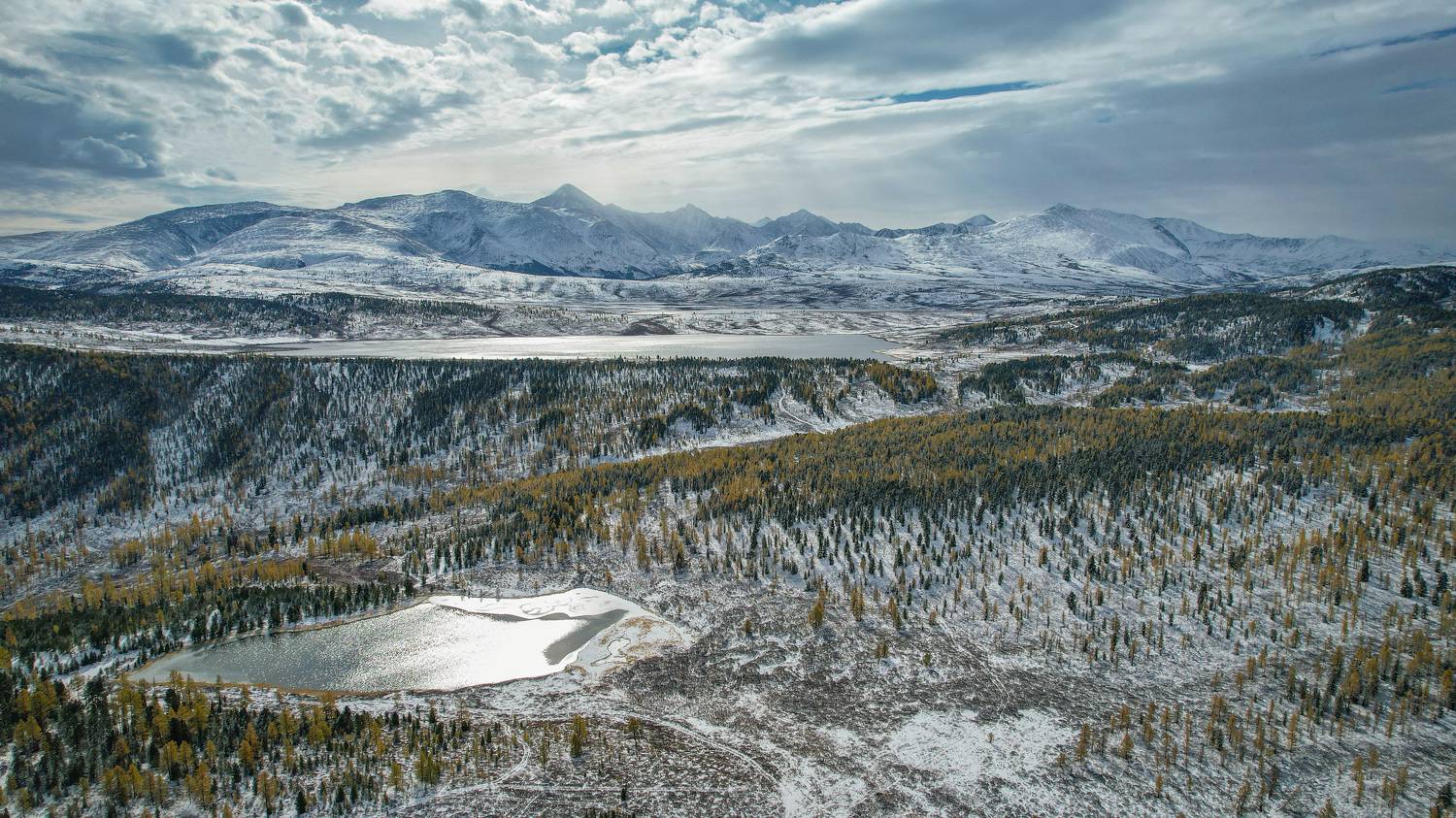 , Константин Буркин