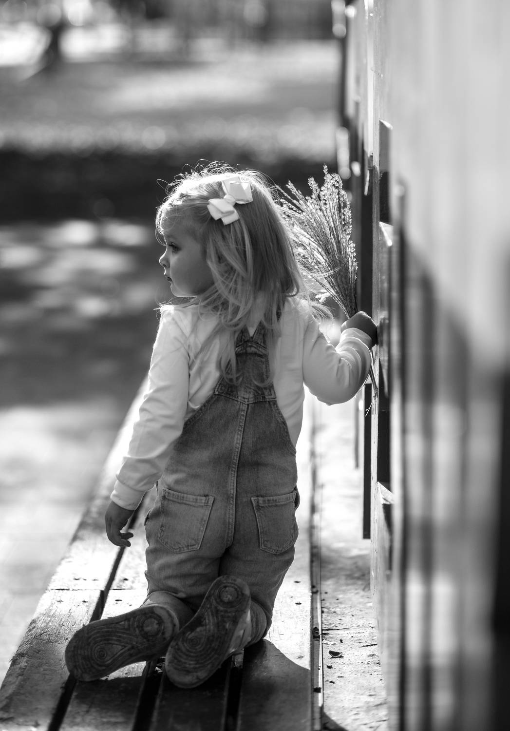 , арабаджи дмитрий