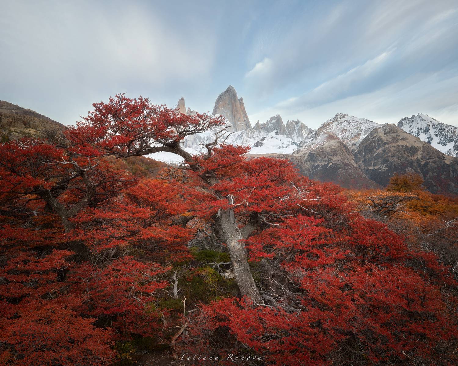 , Рунова Татьяна