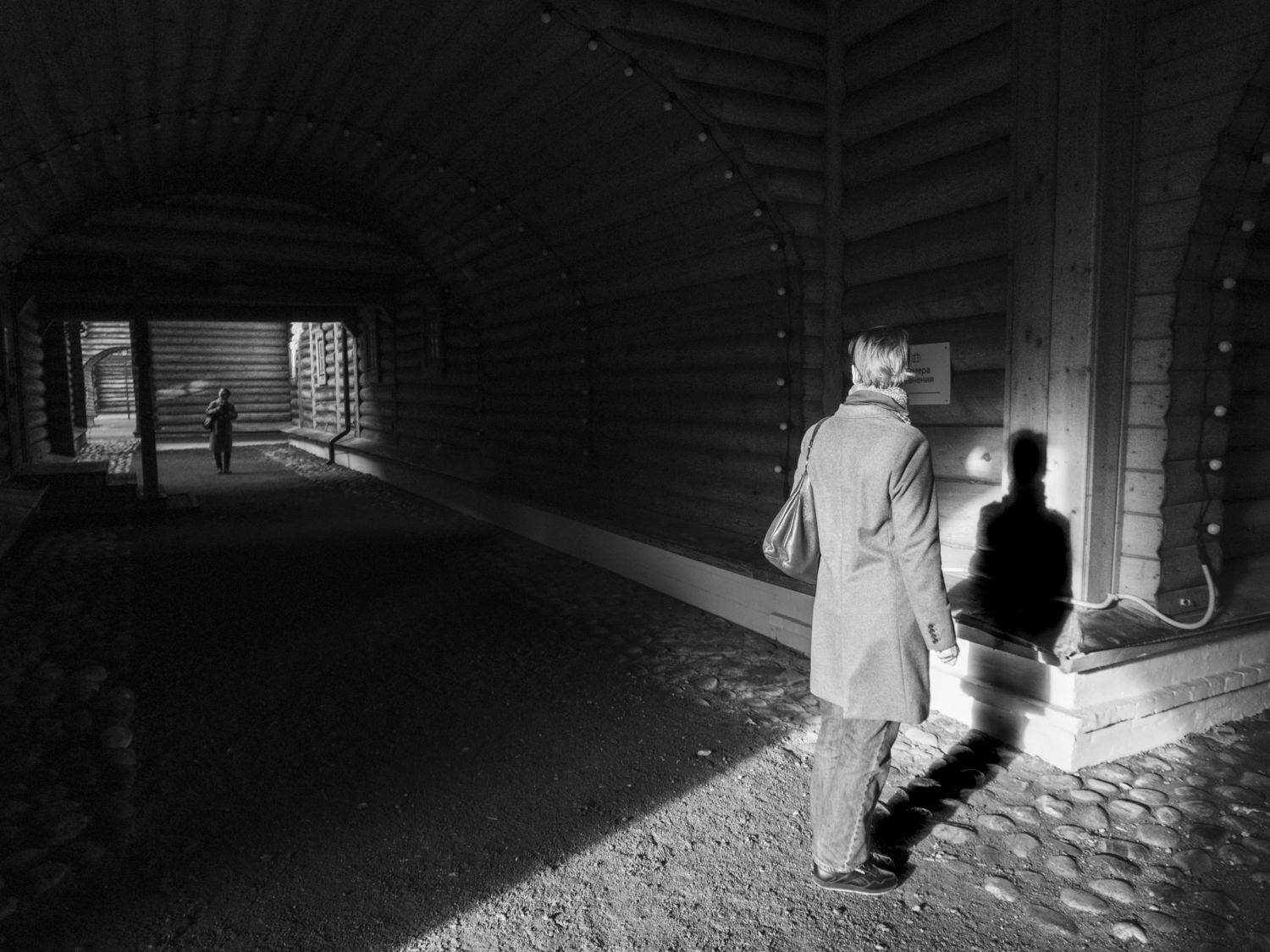 , Алексей Федотов