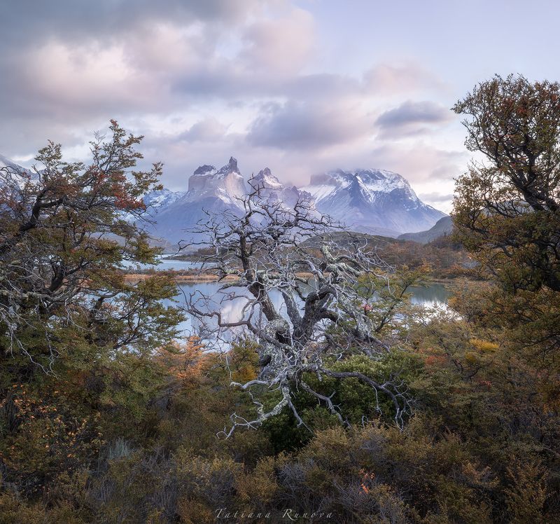 Утро на озере Пехое фото превью