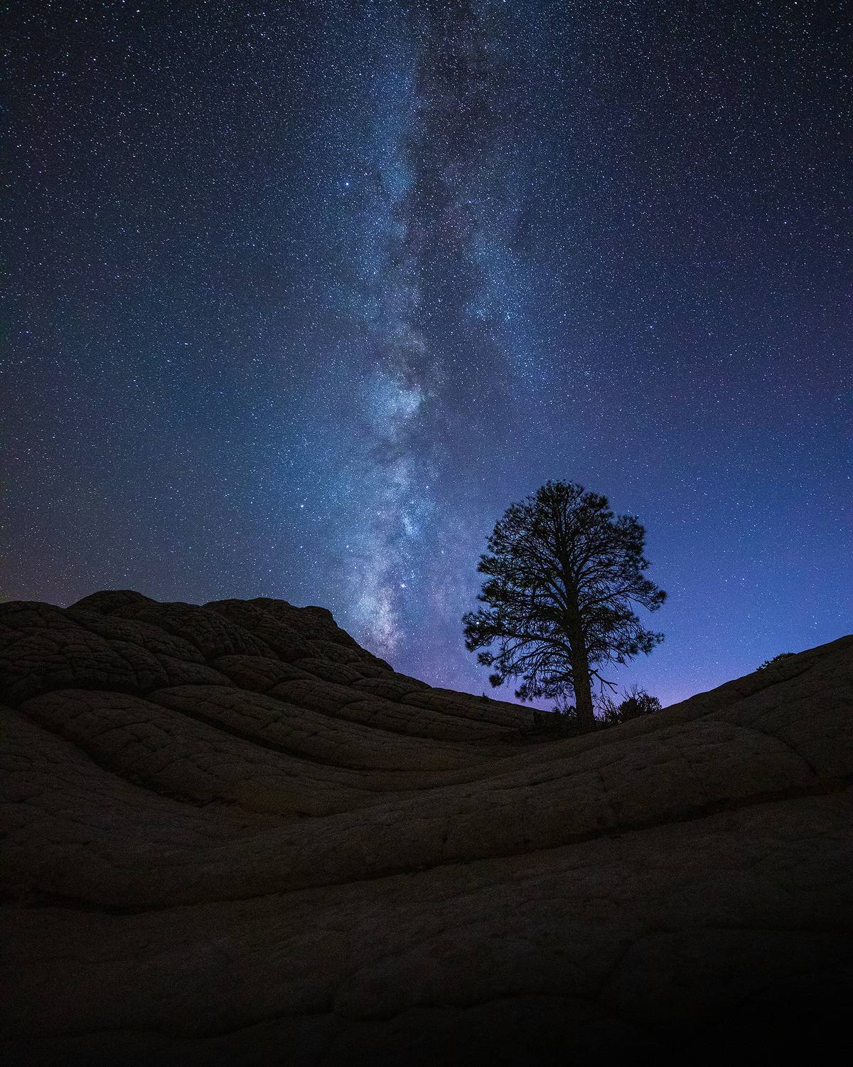 usa, arizona, canyon, travel, roadtrip, landscape, whitepocket, Anferow Lana