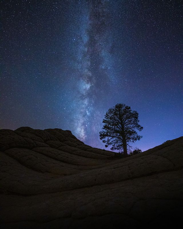 usa, arizona, canyon, travel, roadtrip, landscape, whitepocket White Pocket фото превью