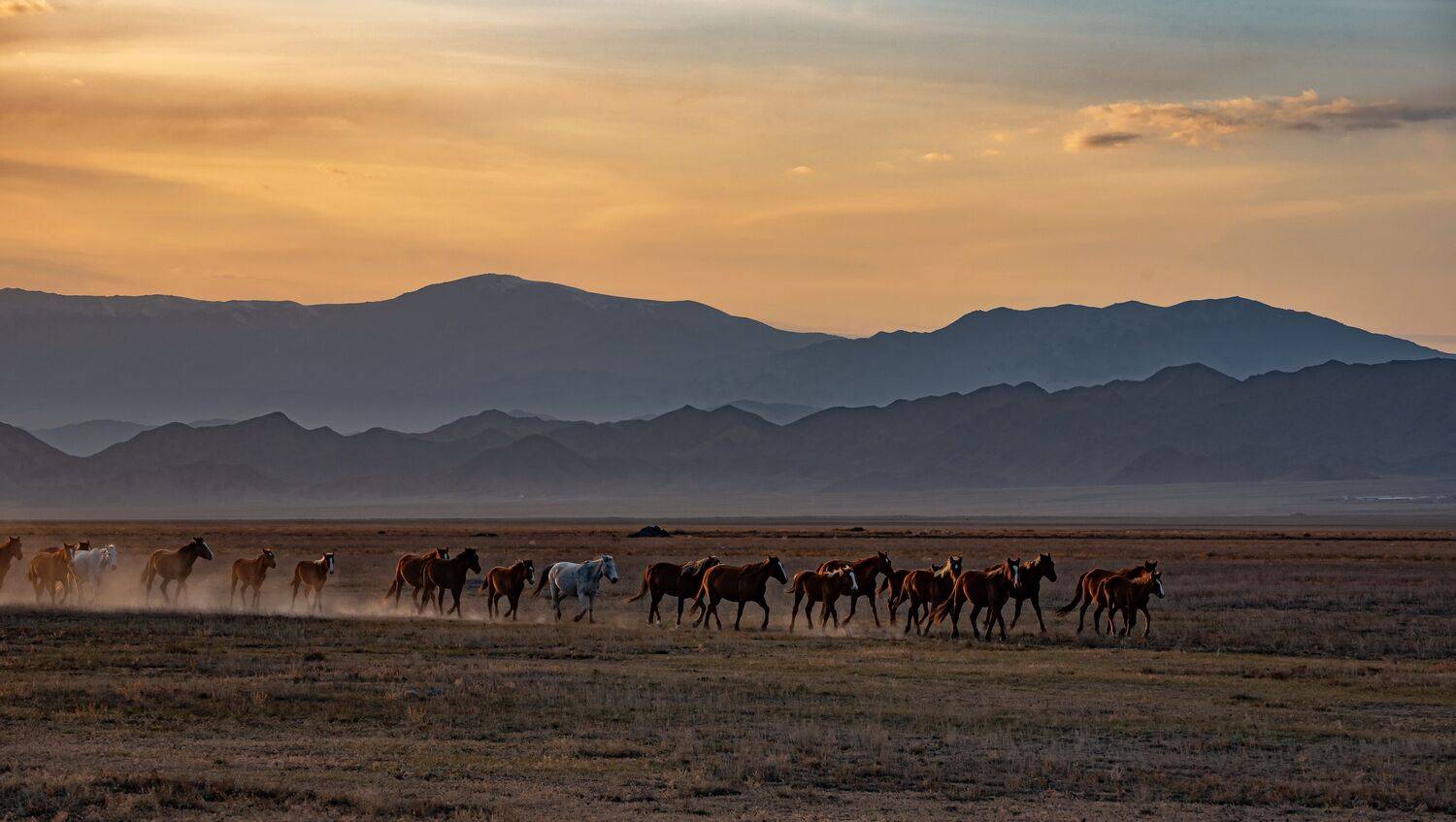 горы  тянь-шань, Евгений Дроботенко
