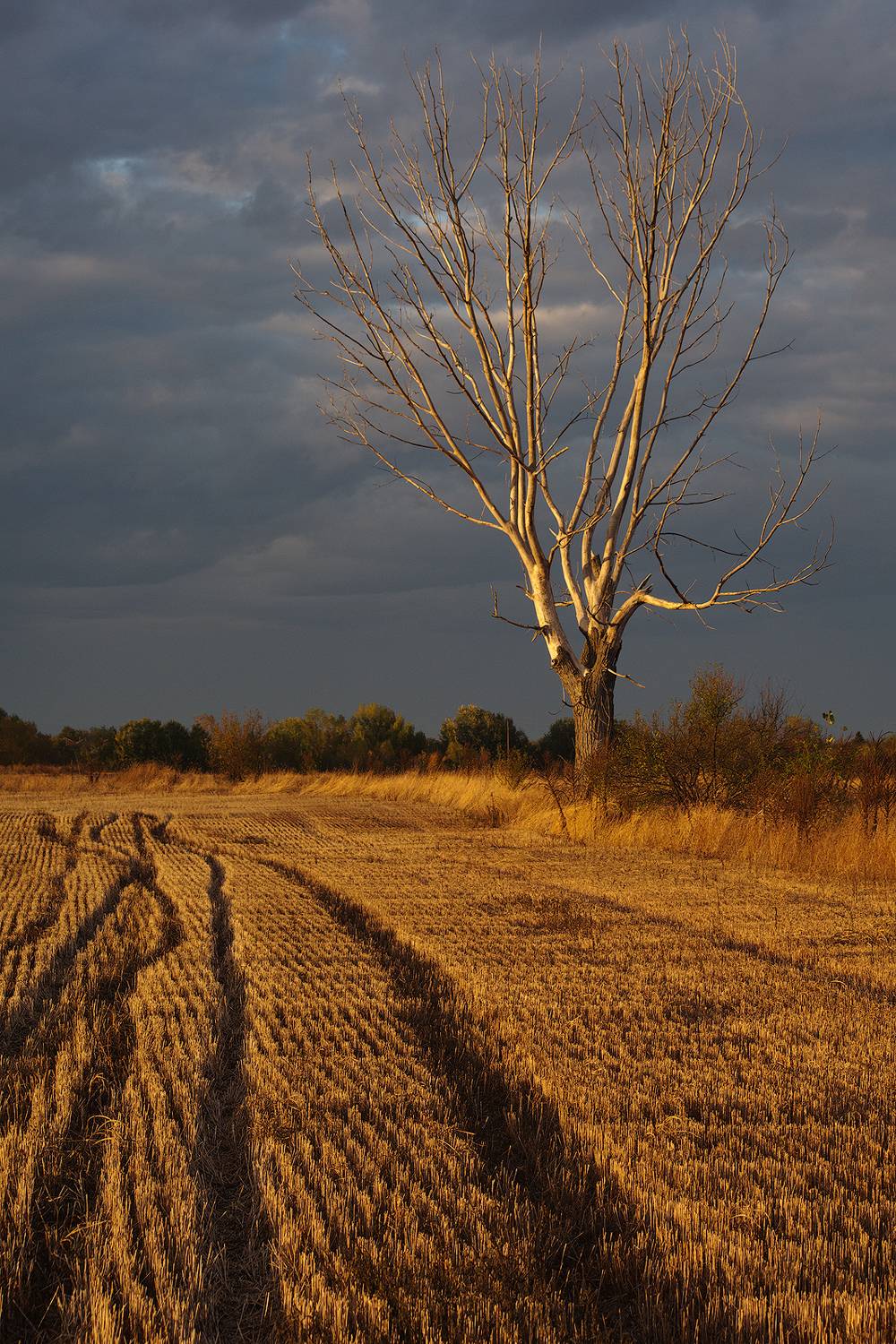 landscape, nature, Любослав Любомиров