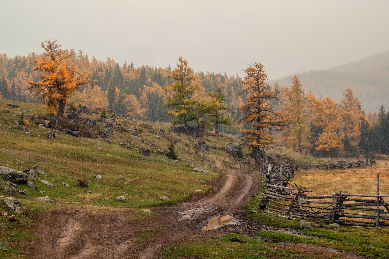 , Саблин Станислав