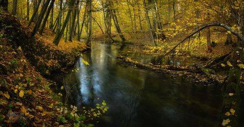 Golden River
