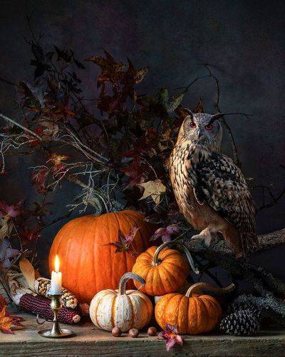Autumn Fantasy with Owl and Pumpkins