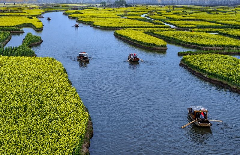 landscapes Весна в водном городке Цзяннань приходит рано фото превью