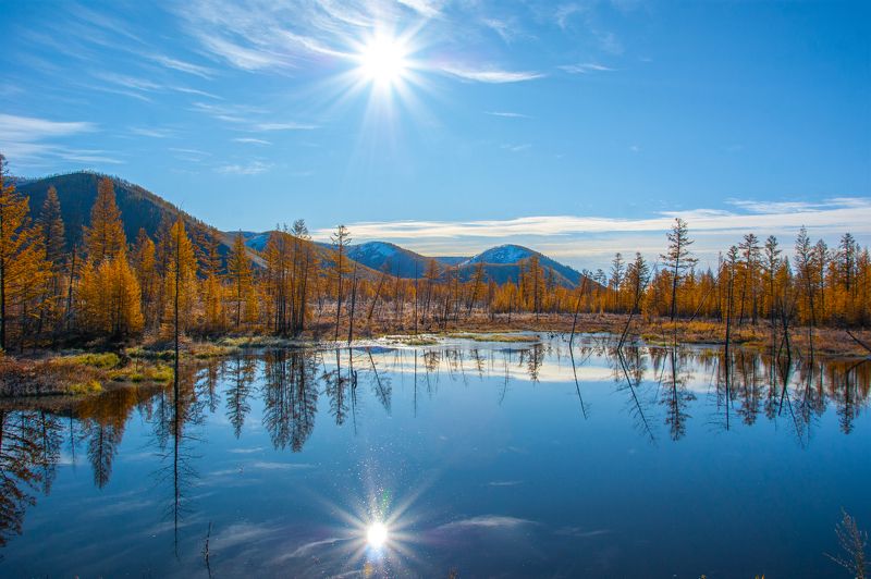 ** фото превью