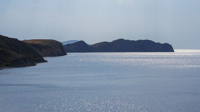 Хамелеон. фото превью