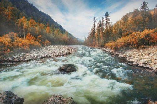 Осенний наряд реки. Казыр