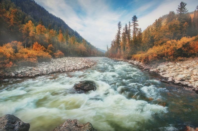 река, казыр, хакасия, кузбасс, природа, лес, природа, камни, туман, горы, пейзаж Осенний наряд реки. Казыр фото превью