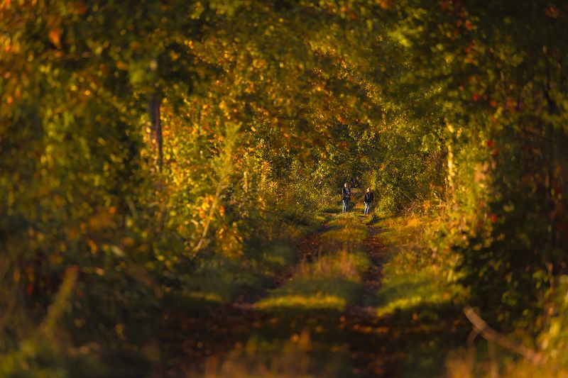 Autumn фото превью