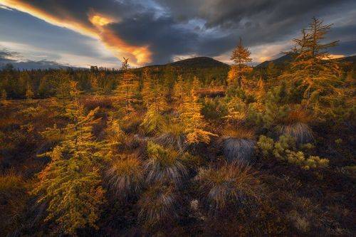 Краски осенней Колымы