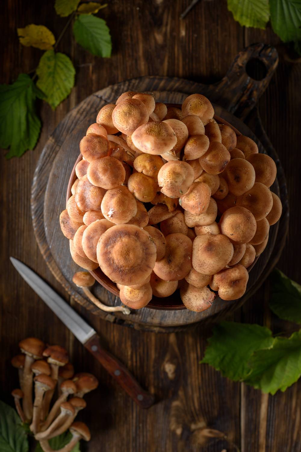 , Сизов Кирилл