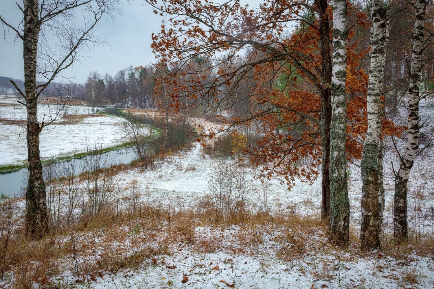 , Евгений Ерохин