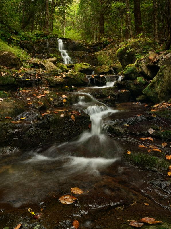 Таёжные зарисовки. фото превью