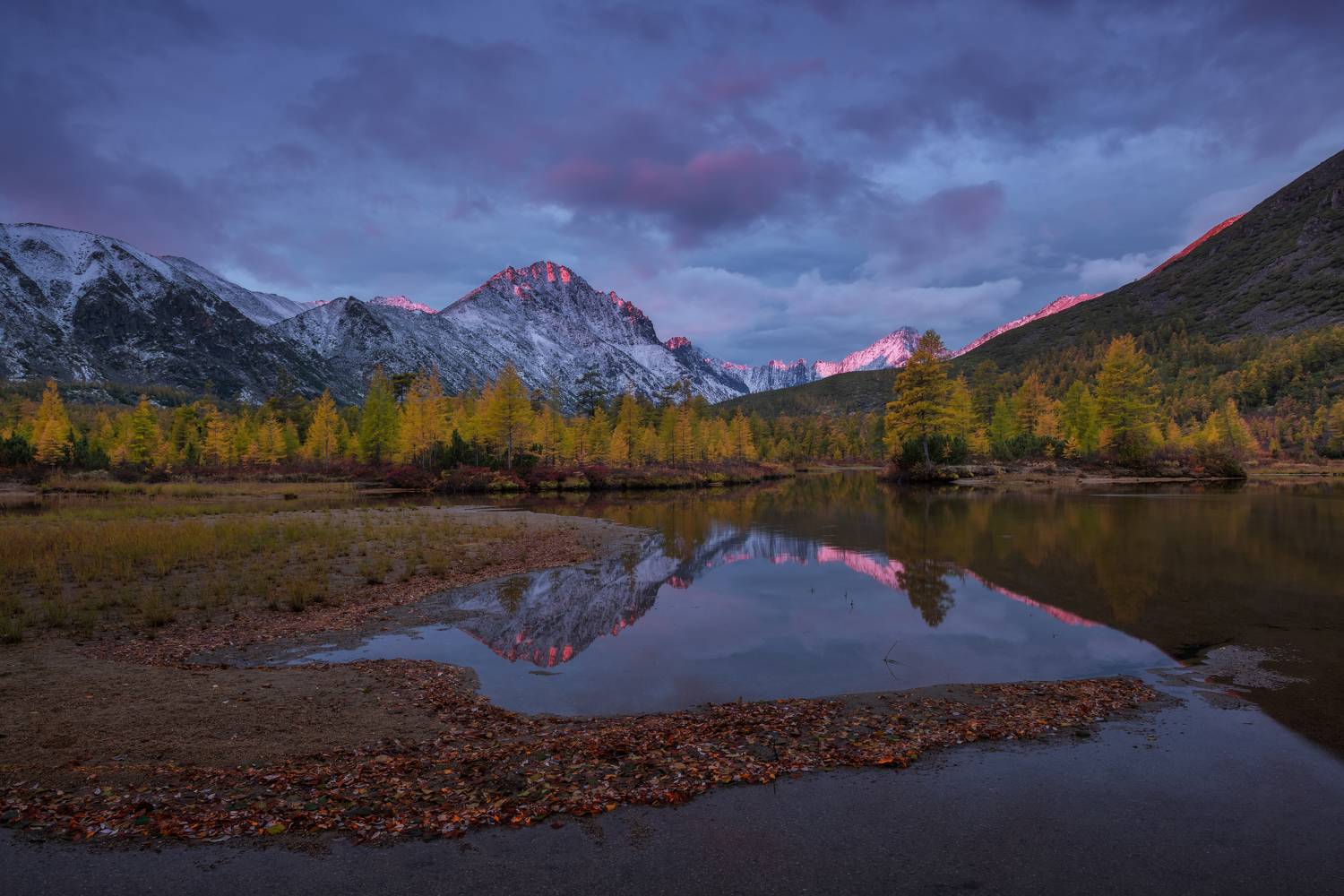 , Максим Евдокимов