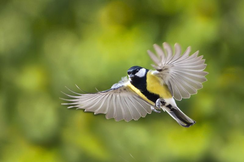 Солнечное фото превью