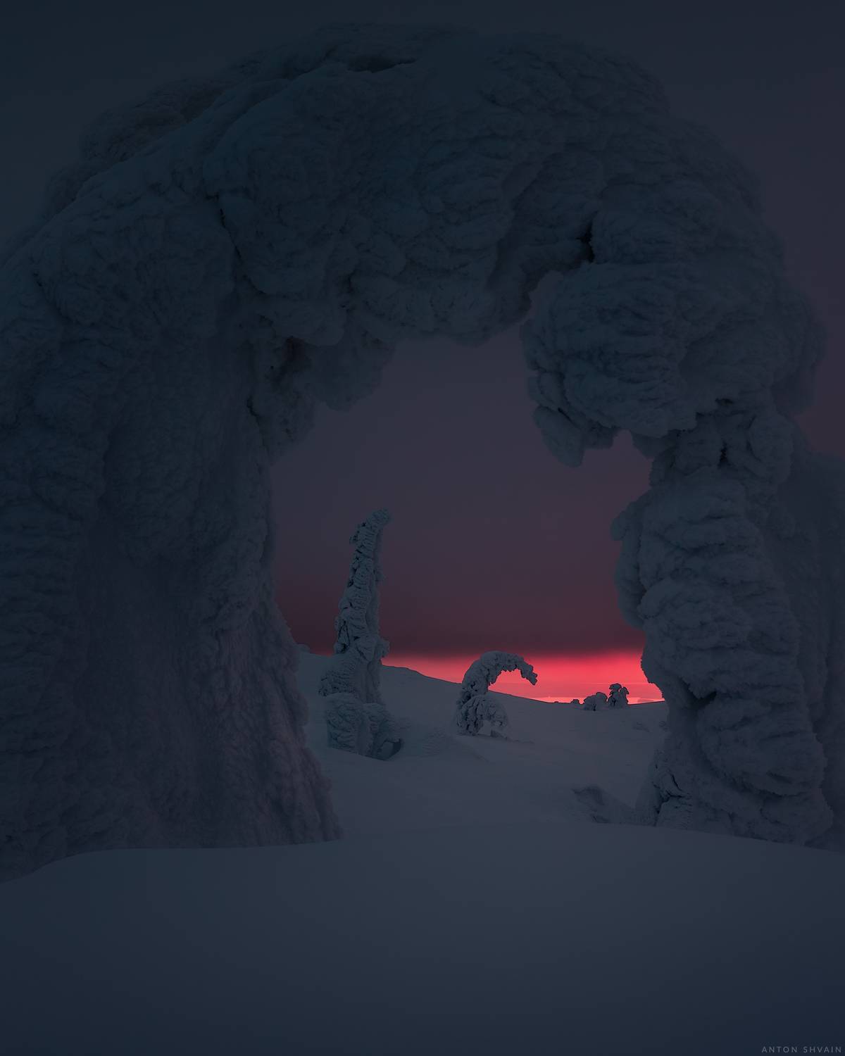 , Антон Шваин