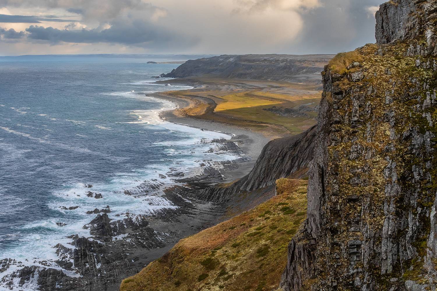 , Александр Пашеничев