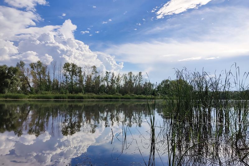 Жара Июль фото превью