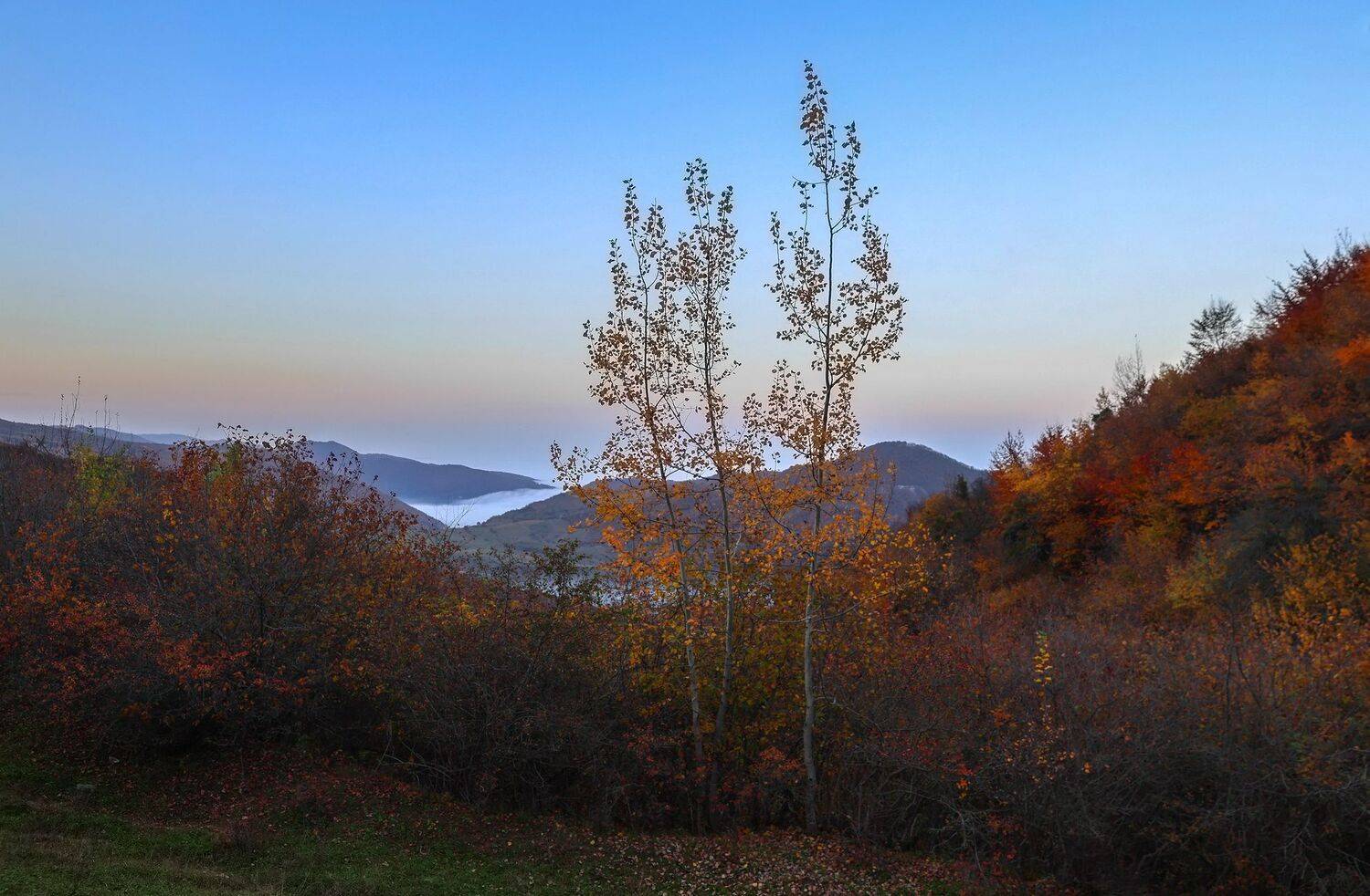 осень,пейзаж,дагестан,горы,туман,, Magov Marat