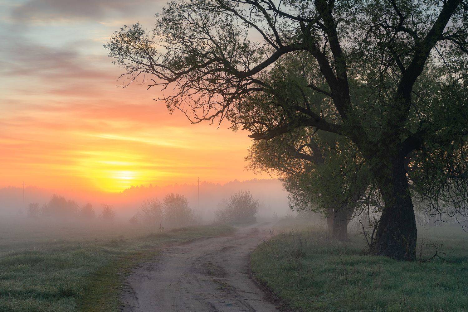 , Руслан Авдевич