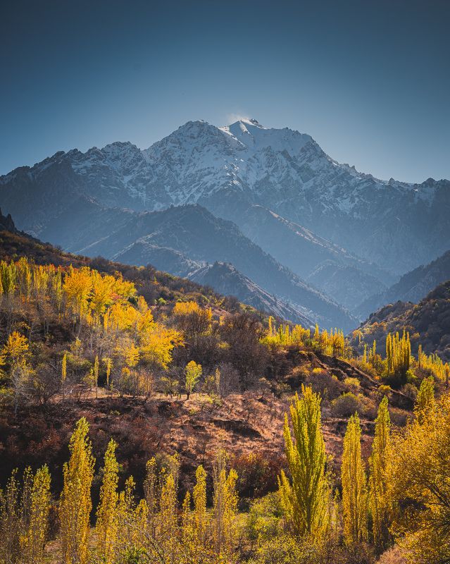узбекистан, чимган, uzbekistan, chimgan Б. Чимган фото превью