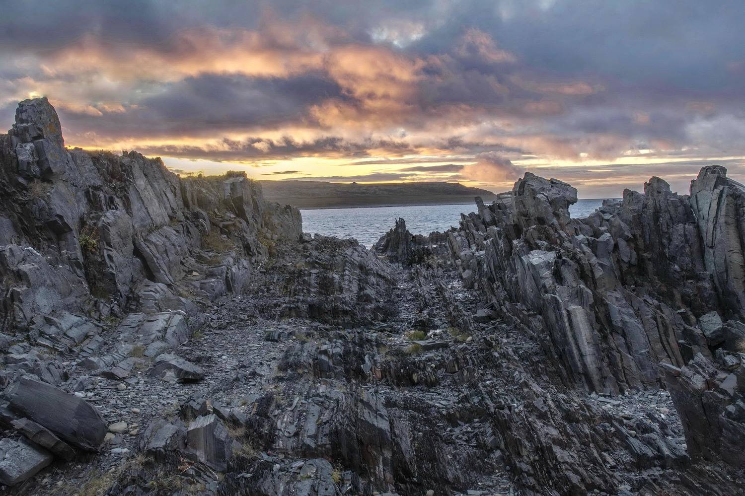 , Добролюбова Тамара