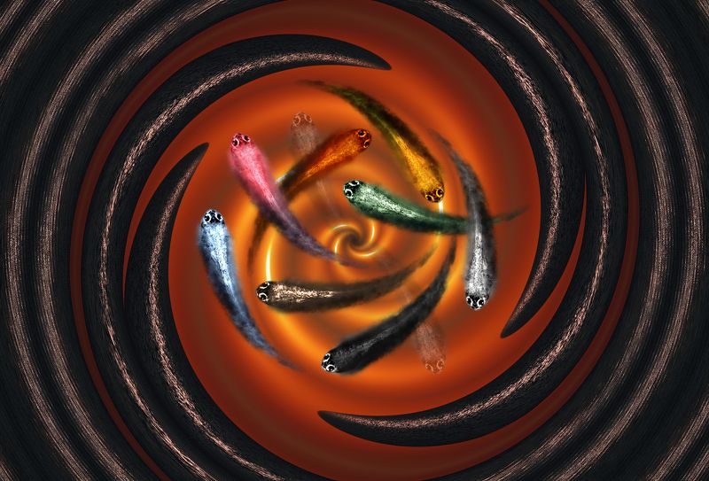 creative, креатив, манипуляция, концепция, цифровое, искусство, безумие, digital, art, insane, crazy, chaos Котёл безумия. Тьма сгущалась... фото превью