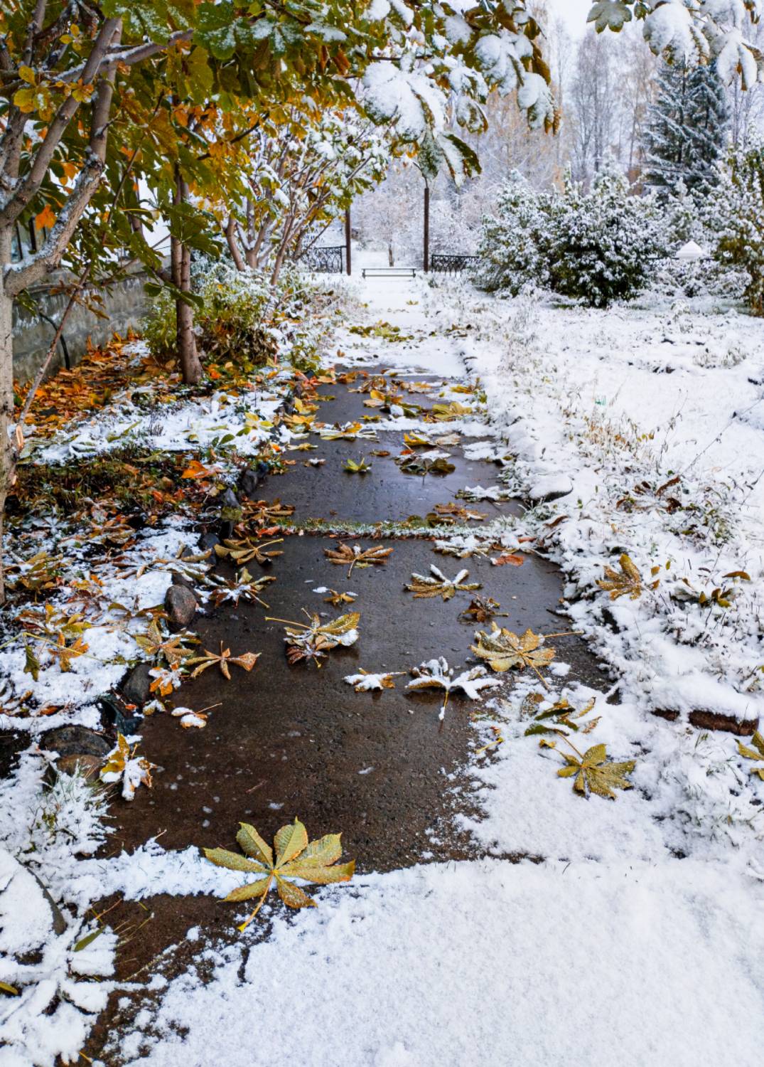 , Марина Никулина