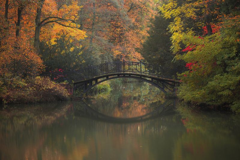 Autumn in park фото превью