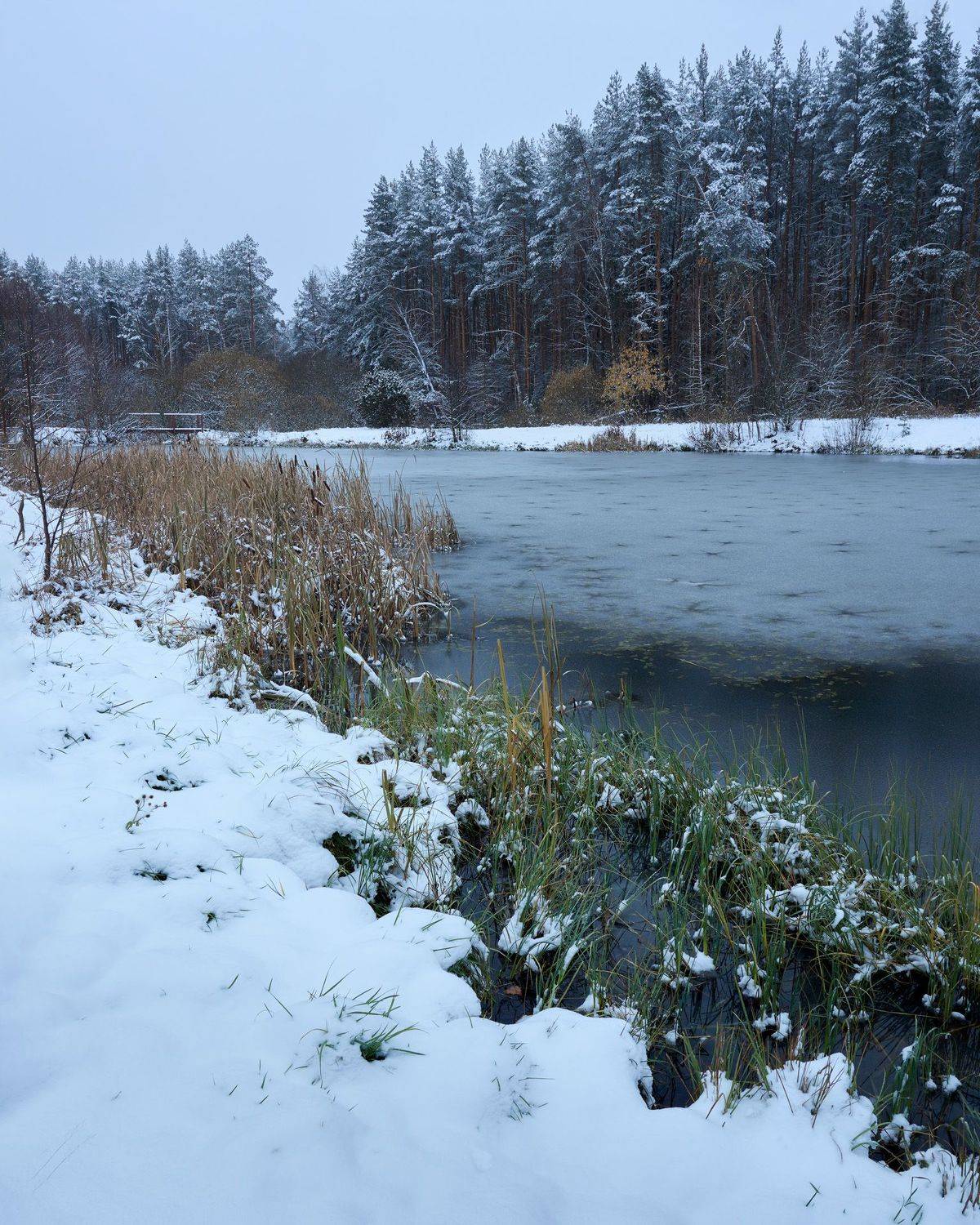 озеро, лес, зима, снег, Валерий Вождаев