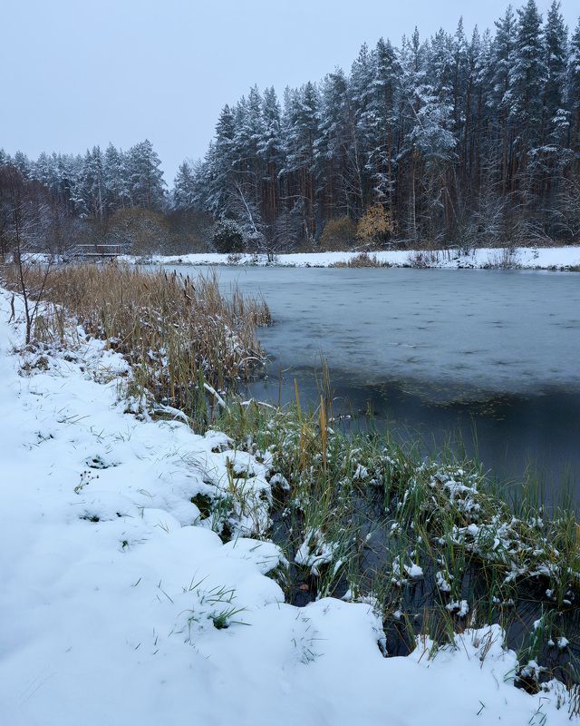 Первый снег на лесном озере фото превью