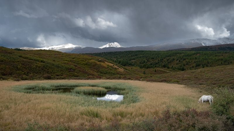 Горный Алтай ... фото превью