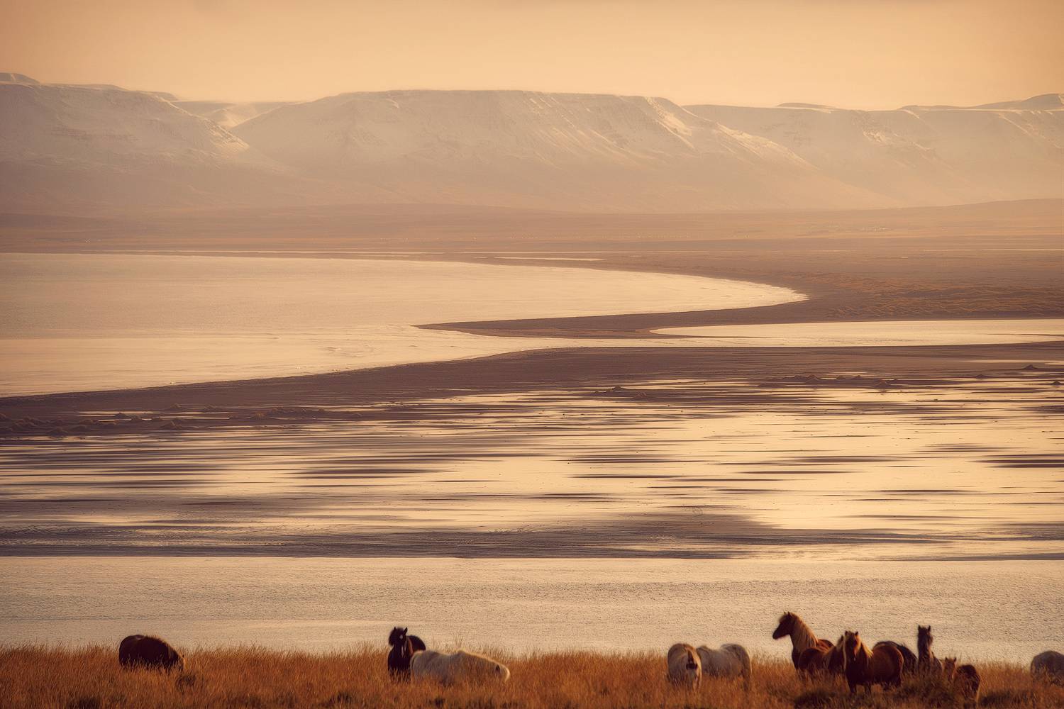 , Иван Курмышов