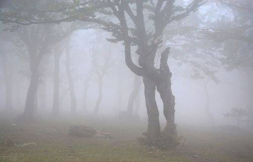 Объятия вечности