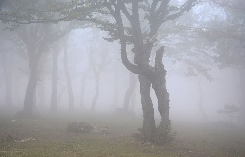 Объятия вечности фото превью