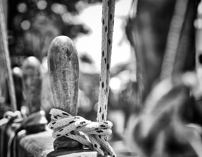 Cabos фото превью