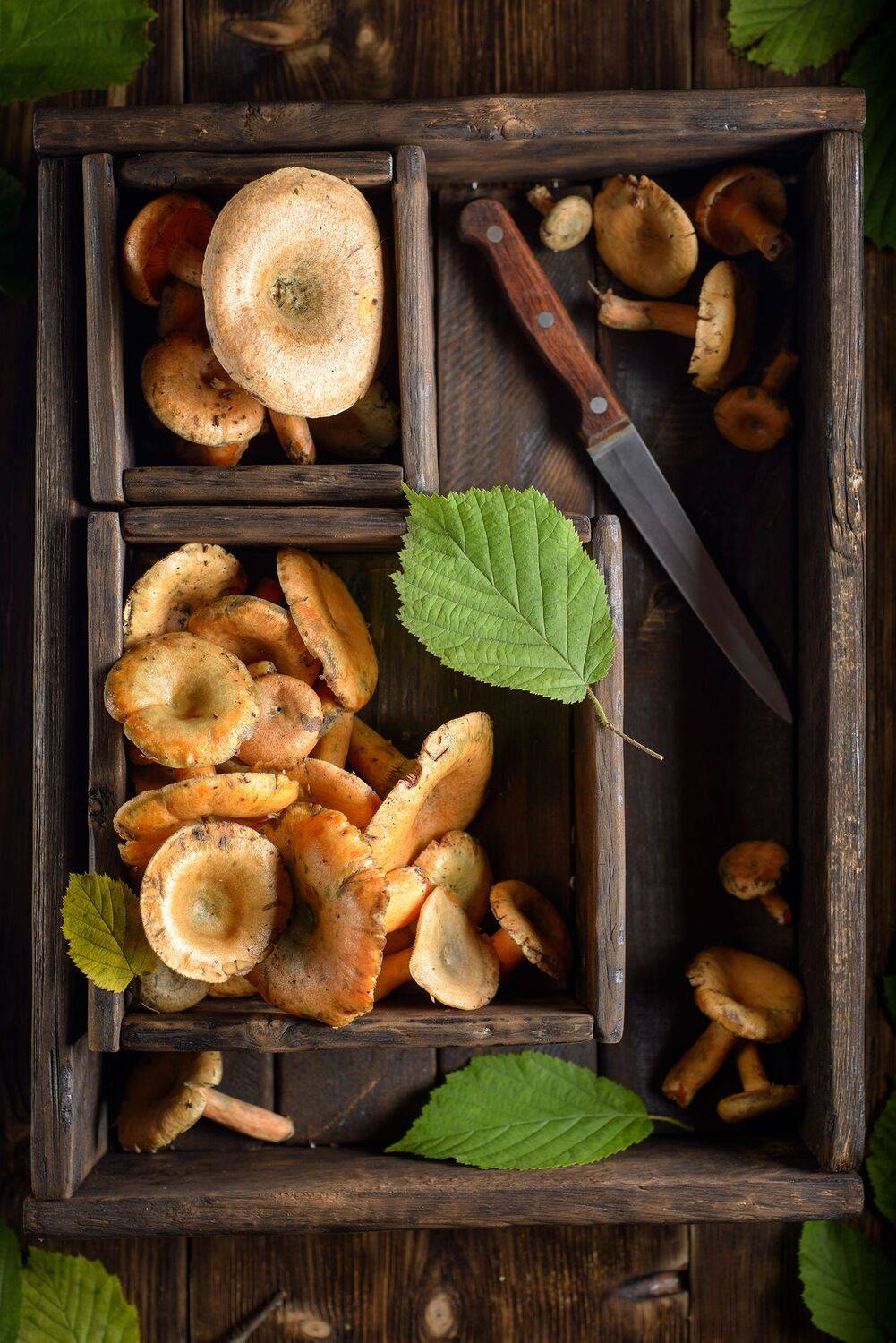 , Сизов Кирилл